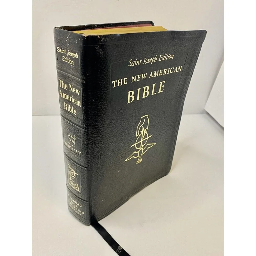 The Saint Joseph Edition The New American Bible Large Type Illustrated‎ 611/13b